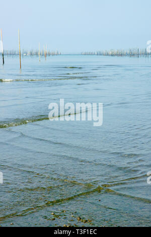 Il mare di Ariake a bassa marea Foto Stock