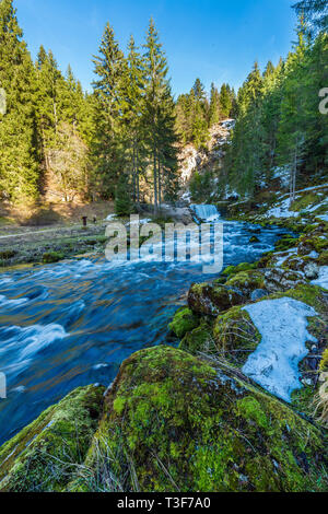 Mouthe (Centrale-Francia orientale): il fiume Doubs nel cuore dell'Haut-Jura Parco naturale regionale. *** Caption locale *** Foto Stock