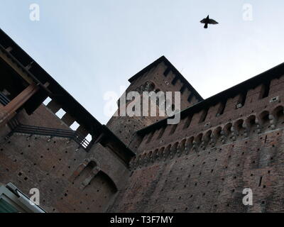 Black Bird vola sopra forte italiano Foto Stock