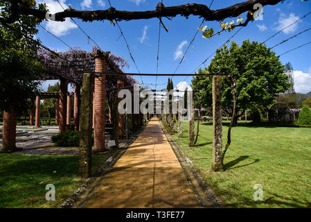 Ponte de Lima, Portogallo. 6 apr, 2019. Una vista generale dei parchi Arnado.Ponte de Lima è una delle città più antiche del Portogallo e noto per la architettura barocca, case antiche, siti storici e bellissimi giardini e di essere parte del vinho verde rotta Credito: Omar Marques/SOPA Immagini/ZUMA filo/Alamy Live News Foto Stock