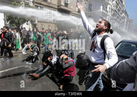 Algeri, Algeria. 09Apr, 2019. Delle forze di sicurezza algerine utilizzare acqua canonici per disperdere la protesta degli studenti durante un governo anti-demonstraion. Il Parlamento algerino ha dichiarato il posto vacante di presidente di post e altoparlante denominato Abdelkader Bensalah a condurre in Algeria per un periodo transitorio di novanta giorni fino alla elezione del successore del rassegnato le dimissioni il Presidente Abdelaziz Bouteflika. Credito: Farouk Batiche/dpa/Alamy Live News Foto Stock