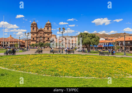 Plaza de Armas piazza principale con la cattedrale e fiori di colore giallo in primo piano, Cuzco, Perù Foto Stock