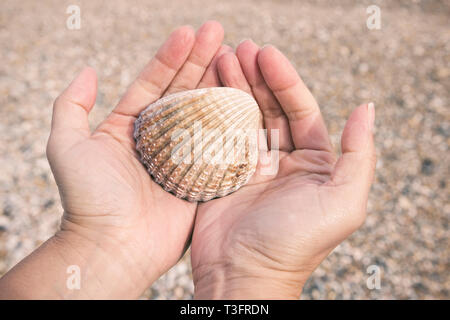 Le mani femminili che tengono una conchiglia sulla spiaggia Foto Stock