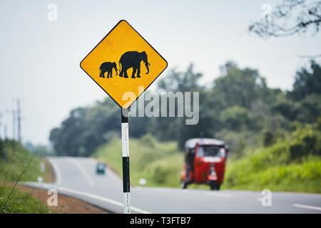 Strada segno di avvertimento per elephant attraversamento strada contro il traffico con un tuk tuk, Sri Lanka Foto Stock