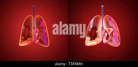 3D illustrazione del processo respiratorio dei polmoni umani inalazione di ossigeno. Foto Stock