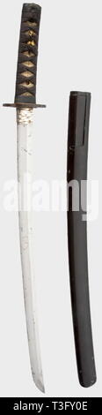 Un wakizashi, il Giappone, la seconda metà del periodo Edo shinogi lama-zukuri, chu-kissaki, torii-ZORI in paglia di riso con, midare hamon sulla base di notare, yaki tsuno boshi senza kaeri. Chu-mokume hada. Lievi segni di stanchezza, con numerose piccole kizu, nel centro fukure yabure (non ancora aperta la fucinatura difetto). Nakago con due mekugi-ana e kiri yasurime, inscritto 'Iga no Kami ...' Argento coperto habaki, ghisa mokko tsuba con modello di onda. Fuchi/cascirski di shakudo, cricket, erbe e oxcart in oro su nanako massa. Shakudo menuki parzialmente dorato, una carpa e foglia, nero, Additional-Rights-Clearance-Info-Not-Available Foto Stock