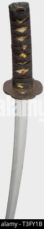Un wakizashi, il Giappone, la seconda metà del periodo Edo shinogi lama-zukuri, chu-kissaki, torii-ZORI in paglia di riso con, midare hamon sulla base di notare, yaki tsuno boshi senza kaeri. Chu-mokume hada. Lievi segni di stanchezza, con numerose piccole kizu, nel centro fukure yabure (non ancora aperta la fucinatura difetto). Nakago con due mekugi-ana e kiri yasurime, inscritto 'Iga no Kami ...' Argento coperto habaki, ghisa mokko tsuba con modello di onda. Fuchi/cascirski di shakudo, cricket, erbe e oxcart in oro su nanako massa. Shakudo menuki parzialmente dorato, una carpa e foglia, nero, Additional-Rights-Clearance-Info-Not-Available Foto Stock
