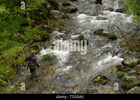 Vista aerea di un pescatore che indossa waders durante la loro attività di pesca all'interno di un fiume Foto Stock