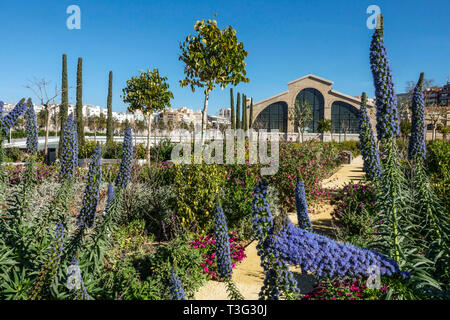 Valencia Ruzafa Valencia Central Park Valencia Russafa quartiere Garden District Parco cittadino Valencia Gardens Valencia Spagna Europa Primavera marzo Foto Stock