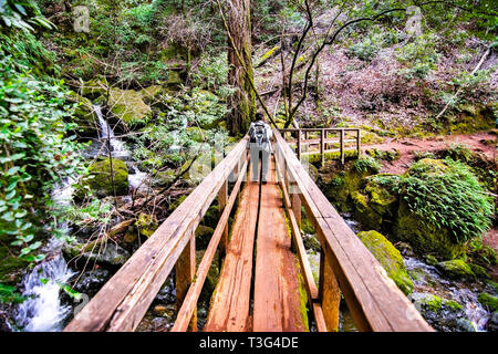 Ponte di legno sul sentiero di cataratta nel Monte Tamalpais spartiacque, Marin County, a nord di San Francisco Bay Area, California Foto Stock