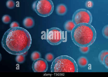 3D illustrazione cellule uovo embrione. Cellule embrionali con un nucleo rosso in centro. Umano o animale cellule uovo. Medicina concetto scientifico. Vita di sviluppo Foto Stock