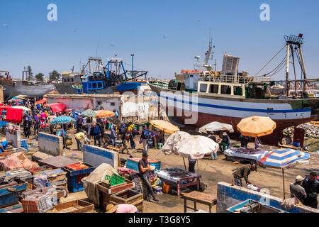 Il Marocco. Essaouira. Città e porto sulla costa atlantica del Marocco con la sua medina registrato come sito del Patrimonio Mondiale dell'UNESCO. Venditori di pesce in h Foto Stock