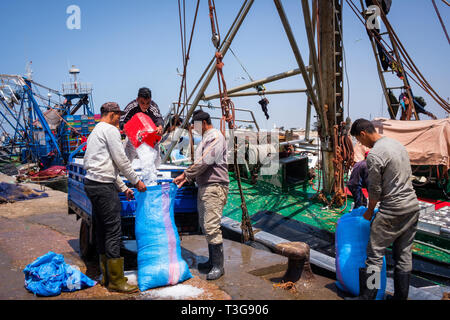 Il Marocco. Essaouira. Città e porto sulla costa atlantica del Marocco con la sua medina registrato come sito del Patrimonio Mondiale dell'UNESCO. I pescatori sul molo Foto Stock