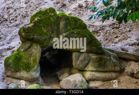 La Grotta degli animali sotto alcune pietre e sabbia, piccolo tunnel in una parete, rocce coperte di muschio Foto Stock