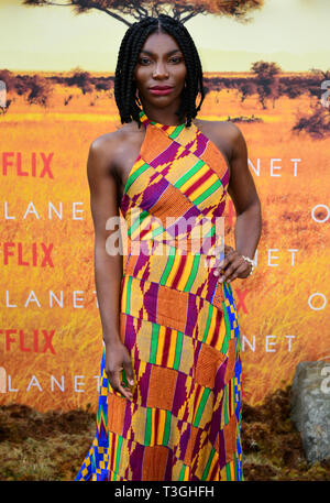 Michaela Coel frequentando il global premiere di Netflix è il nostro pianeta, tenutosi presso il Museo di Storia Naturale di Londra. Foto Stock