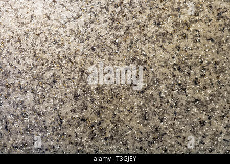 Abstract background. Grigio a pavimento di cemento con pietra bianca di chip. Superficie levigata liscia. Foto Stock
