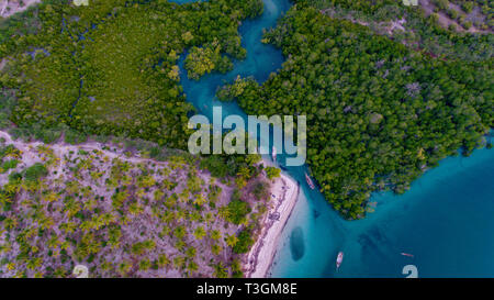 Mangroove palude a Kanga beach, mafia island Foto Stock