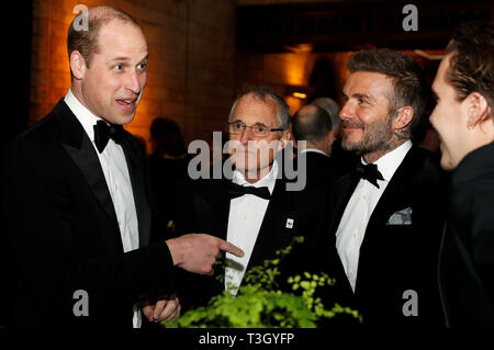 Il Duca di Cambridge (sinistra) parla con David Beckham e suo figlio Brooklyn (sia a destra), durante la global premiere di Netflix è 'il nostro pianeta' presso il Museo di Storia Naturale di Kensington, London, ospitato da Sir David Attenborough. Foto Stock