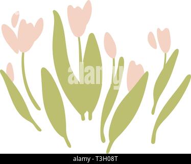 Tulipani isolati fiori. Fiori natura doodle illustrazione fiore. Biglietto di auguri di pasqua Illustrazione Vettoriale