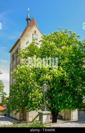 Il Minster chiesa della Vergine Maria e San Marco, isola di Reichenau sul Lago di Costanza, Baden-Württemberg, Germania, Europa. Foto Stock