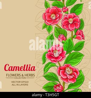 Camellia vector pattern sul colore di sfondo Illustrazione Vettoriale