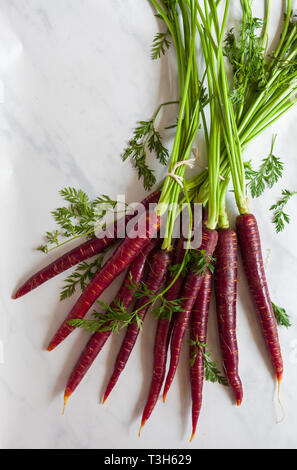 Fresche, grezzo organico carote viola Foto Stock