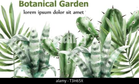 Cactus e piante grasse giardino botanico acquerello illustrazione vettoriale Illustrazione Vettoriale