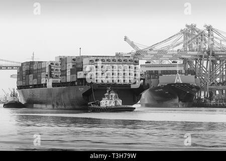 Foto in bianco e nero dei rimorchiatori Foss Maritime che guidano il Vintage PASHA HAWAII, la nave portacontainer, HORIZON RELIANCE, verso il porto di Los Angeles Foto Stock