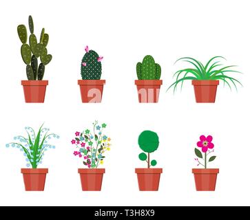 Varie piante in vaso di fiori. Decorazione home impianto. Illustrazione Vettoriale in stile piatto Illustrazione Vettoriale