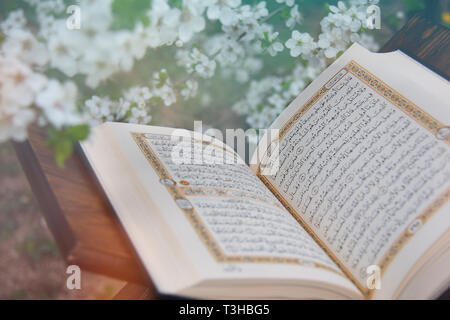 Libro sacro dei musulmani di tutto il mondo. Una pagina aperta del Corano Foto Stock