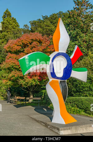 La fleur qui marche scultura di Fernand Leger al Museo all'aperto Hakone, Giappone Foto Stock