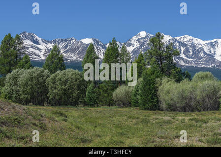 Un paesaggio fantastico con verdi alberi e cespugli di salice argenteo sullo sfondo di montagne innevate e cielo blu Foto Stock