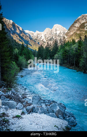 Vista dal fiume Soca attraverso la valle di montagna nel Parco Nazionale del Triglav nelle Alpi Giulie in Slovenia in primavera Foto Stock