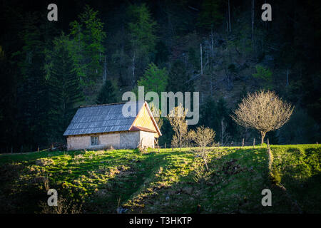 Vecchia, piccola capanna in legno e albero alleggerire dal sole in Soca valley nel parco nazionale del Triglav in Slovenia Foto Stock