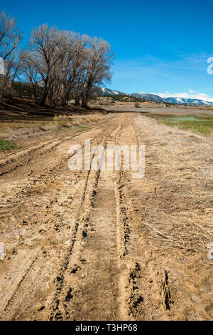 Terreni fangosi tracce di pneumatici su un ranch strada sterrata; central Colorado; USA Foto Stock