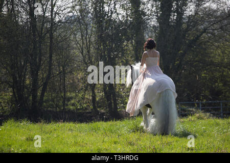 Ragazza in abiti lunghi in sella il suo Irish gypsy cob cavallo al sole nel bosco Foto Stock