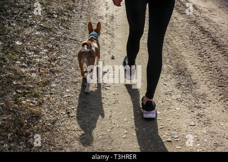 Giovane donna camminare in una foresta con un Basenji dog Foto Stock