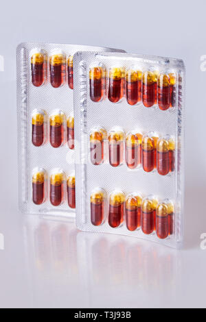 Olio di Krill capsule in blister isolati su sfondo bianco Foto Stock