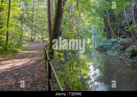 Malerweg Hiking trail nel Liebethaler Grund vicino Lohmen, Svizzera Sassone, Bassa Sassonia, Germania Foto Stock