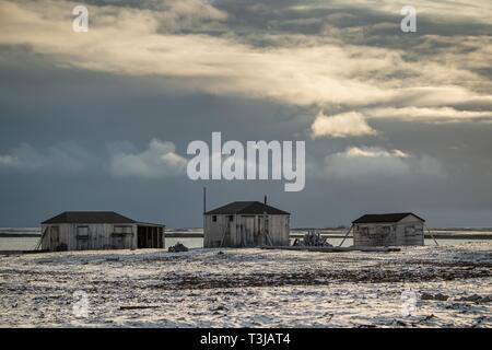 Case di legno, Swedish-Finnish stazione di ricerca Kinnvika, Murchisonfjord, Nordaustland, Spitsbergen arcipelago Svalbard e Jan Mayen, Norvegia Foto Stock