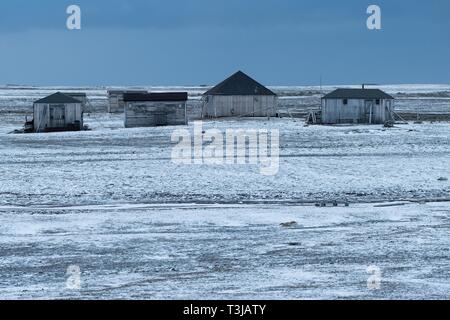 Case di legno, Swedish-Finnish stazione di ricerca Kinnvika, Murchisonfjord, Nordaustland, Spitsbergen arcipelago Svalbard e Jan Mayen, Norvegia Foto Stock