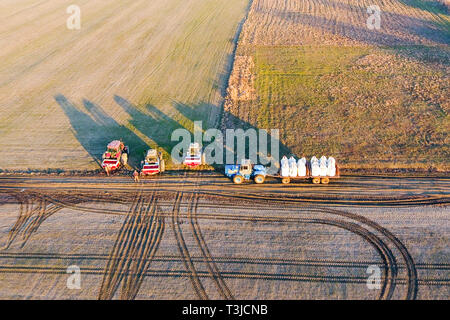 Esportazione di fertilizzante per i campi. Molla di piante di concimazione Foto Stock