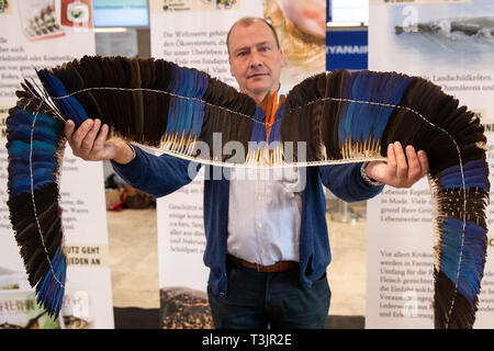 Norimberga, Germania. Decimo Apr, 2019. Rudolf Thelen dall'Agenzia federale per la conservazione della natura (BfN) presenta parrot piume confiscati dalla Dogana all'aeroporto di Norimberga come parte di una presentazione da parte delle autorità doganali e BfN sul traffico illecito di vacanza di souvenir. Credito: dpa picture alliance/Alamy Live News Foto Stock