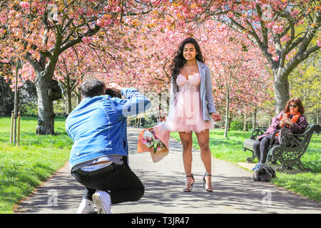Greenwich, Londra, UK, 10 aprile 2019. Un paio di prendere i loro fiori di ciliegio foto completa con abito rosa e fiori, dopo aver viaggiato per la seconda volta come pioggia significava la loro foto non era bello come ieri. Persone da ammirare e prendere scatta di rosa fiori di ciliegio che ora è in piena fioritura. I visitatori viaggiano spesso soprattutto per vedere il ben noto 'Cherry Blossom Alley' nel parco di Greenwich, Londra. Credito: Imageplotter/Alamy Live News Foto Stock