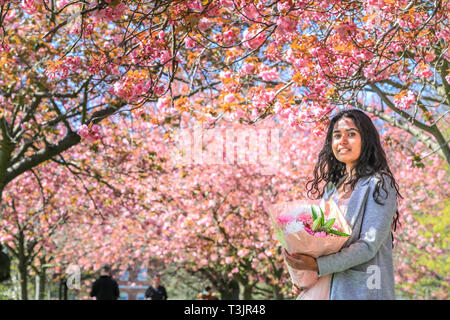 Greenwich, Londra, UK, 10 aprile 2019. Un paio di prendere i loro fiori di ciliegio foto completa con abito rosa e fiori, dopo aver viaggiato per la seconda volta come pioggia significava la loro foto non era bello come ieri. Persone da ammirare e prendere scatta di rosa fiori di ciliegio che ora è in piena fioritura. I visitatori viaggiano spesso soprattutto per vedere il ben noto 'Cherry Blossom Alley' nel parco di Greenwich, Londra. Credito: Imageplotter/Alamy Live News Foto Stock