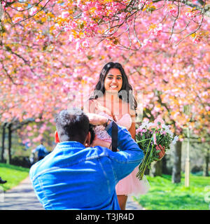 Greenwich, Londra, UK, 10 aprile 2019. Un paio di prendere i loro fiori di ciliegio foto completa con abito rosa e fiori, dopo aver viaggiato per la seconda volta come pioggia significava la loro foto non era bello come ieri. Persone da ammirare e prendere scatta di rosa fiori di ciliegio che ora è in piena fioritura. I visitatori viaggiano spesso soprattutto per vedere il ben noto 'Cherry Blossom Alley' nel parco di Greenwich, Londra. Credito: Imageplotter/Alamy Live News Foto Stock