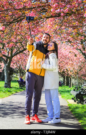 Greenwich, Londra, UK, 10 aprile 2019. Un paio di prendere selfies con graziosi fiori. Persone da ammirare e prendere scatta di rosa fiori di ciliegio che ora è in piena fioritura. I visitatori viaggiano spesso soprattutto per vedere il ben noto 'Cherry Blossom Alley' nel parco di Greenwich, Londra. Credito: Imageplotter/Alamy Live News Foto Stock