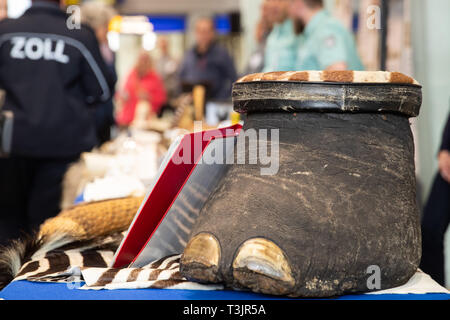 Norimberga, Germania. Decimo Apr, 2019. Un elefante il piede confiscati dalla Dogana è sdraiato su un tavolo presso l'aeroporto di Norimberga come parte di una presentazione da parte delle autorità doganali e l'Agenzia federale per la conservazione della natura (BfN) illegali sulla vacanza negozio di souvenir. Credito: dpa picture alliance/Alamy Live News Foto Stock