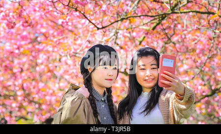 Greenwich, Londra, UK, 10 aprile 2019. Un paio di prendere selfies con graziosi fiori. Persone da ammirare e prendere scatta di rosa fiori di ciliegio che ora è in piena fioritura. I visitatori viaggiano spesso soprattutto per vedere il ben noto 'Cherry Blossom Alley' nel parco di Greenwich, Londra. Credito: Imageplotter/Alamy Live News Foto Stock