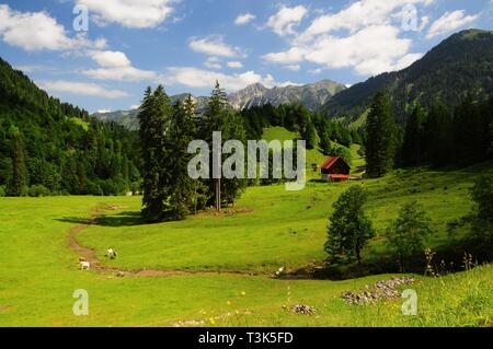 Valle Hintersteiner, direzione Bad Hindelang, Svevia, Baviera, Germania, Europa Foto Stock